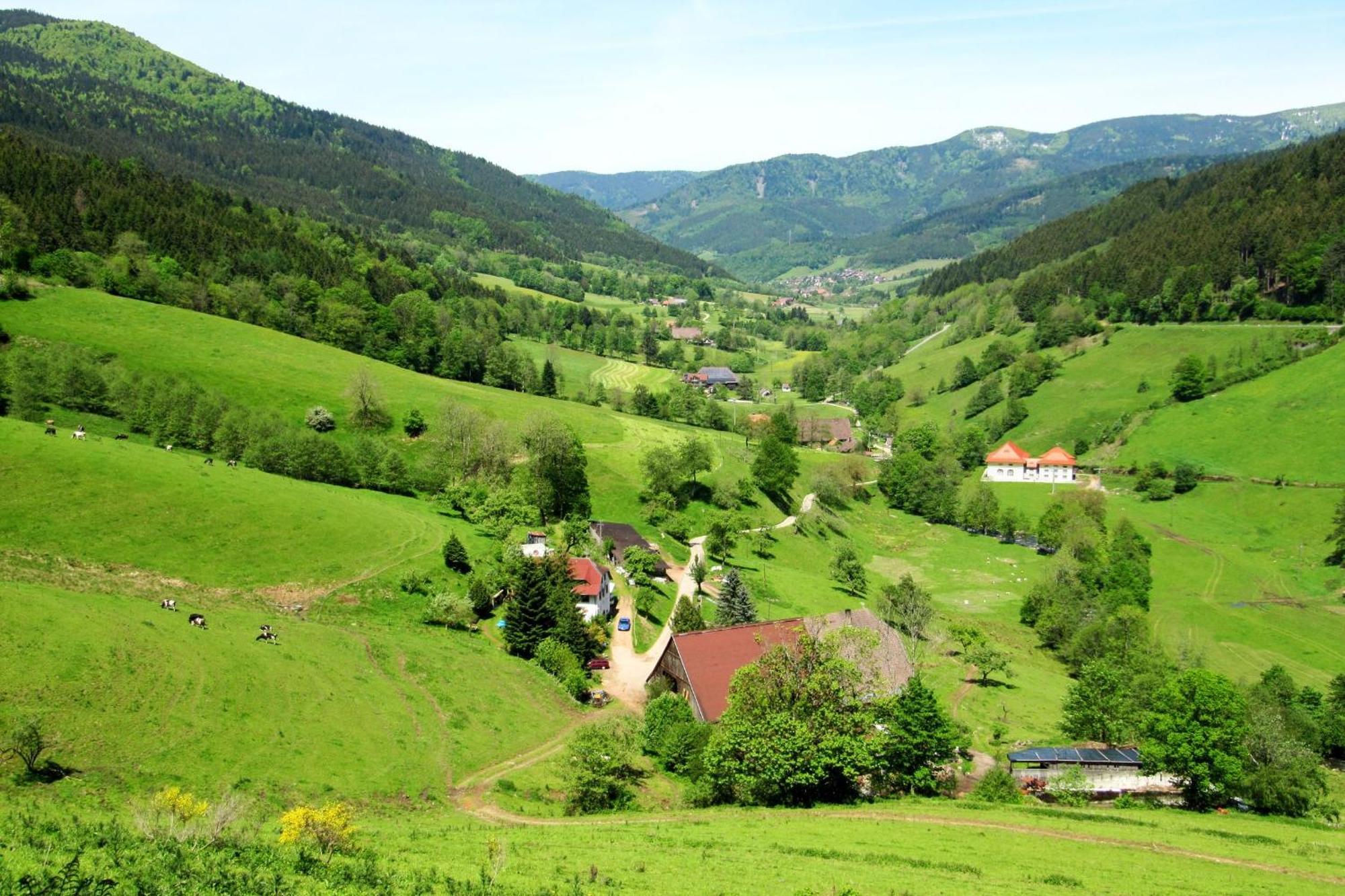 Ferienwohnung Regina Furtwangen Exterior foto